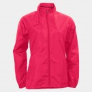 Fuchsia thumbnail