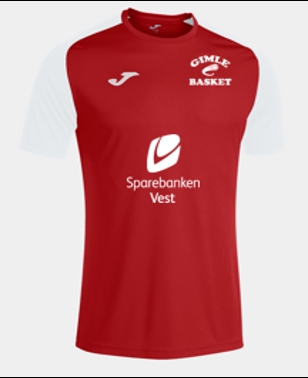 GIMLE JOMA ACADEMY IV T-SKJORTE