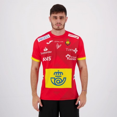 Håndball