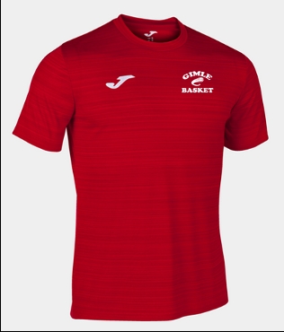 GIMLE JOMA GRAFITY III T-SKJORTE